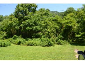 Tbd Right Poor Valley Road Pennington Gap, VA 24277 - Photo 11 of 14 Photo 11