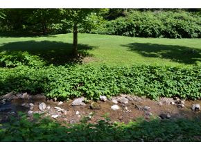 Tbd Right Poor Valley Road Pennington Gap, VA 24277 - Photo 3 of 14 Photo 3