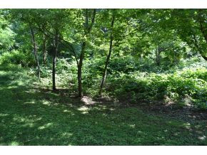 Tbd Right Poor Valley Road Pennington Gap, VA 24277 - Photo 10 of 14 Photo 10