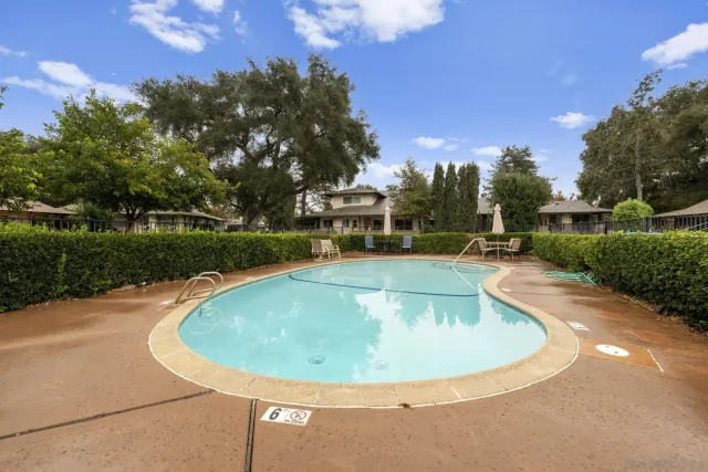 a view of a park with large trees