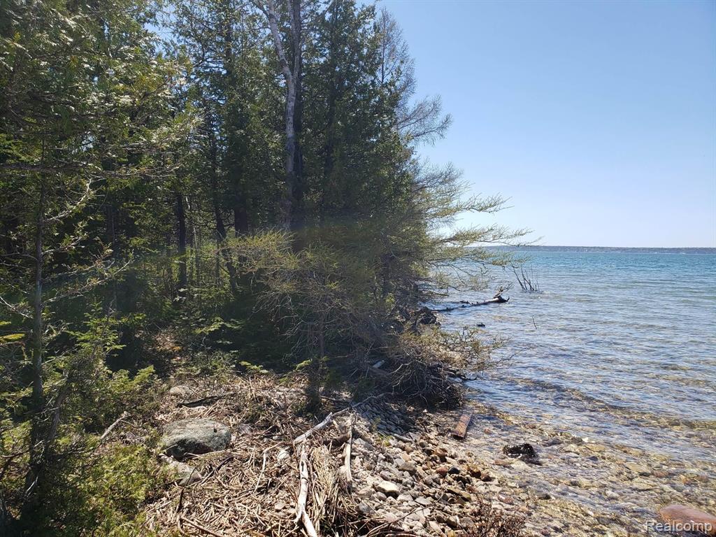 33882 South Dix Point Road Drummond Island, MI 49726 - Photo 13 of 19