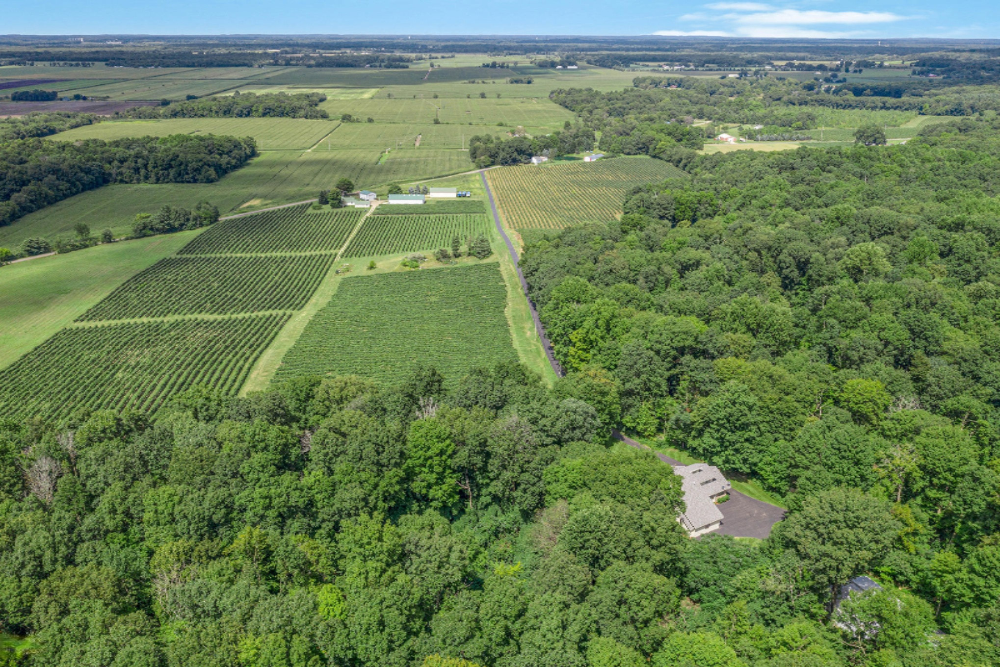37261 County Road 669 Decatur, MI 49045 - Photo 11 of 64 Property