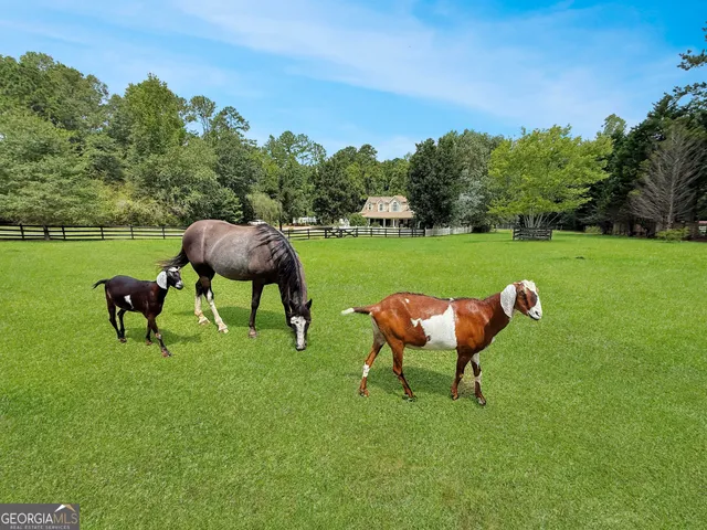 $899,900 | 1040 Essex Road, Watkinsville, GA 30677