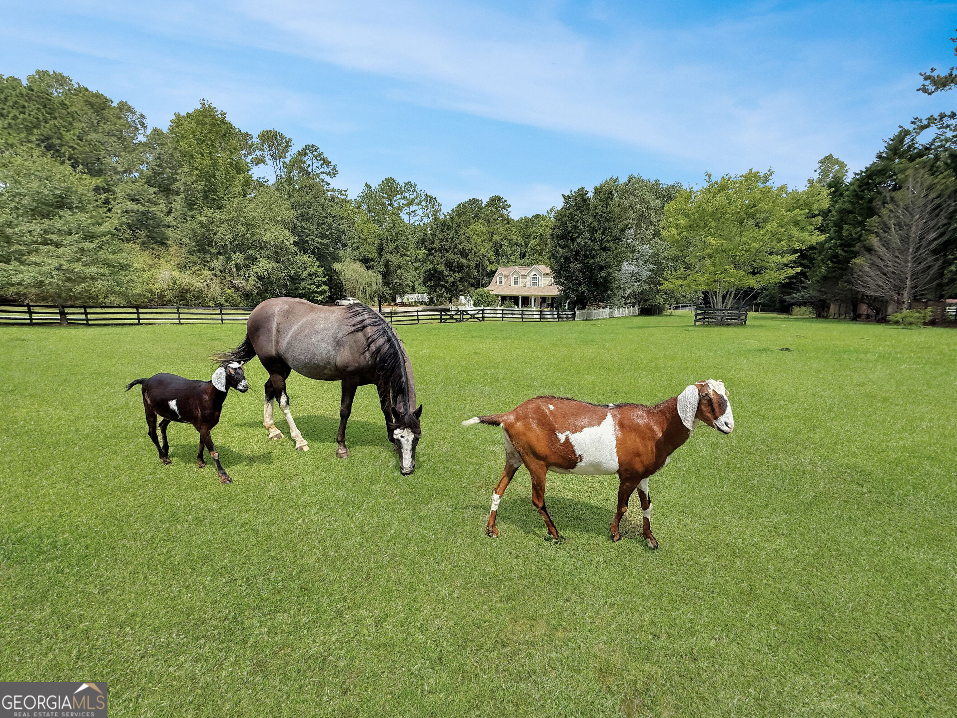 1040 Essex Road Watkinsville, GA 30677 - Photo 3 of 71