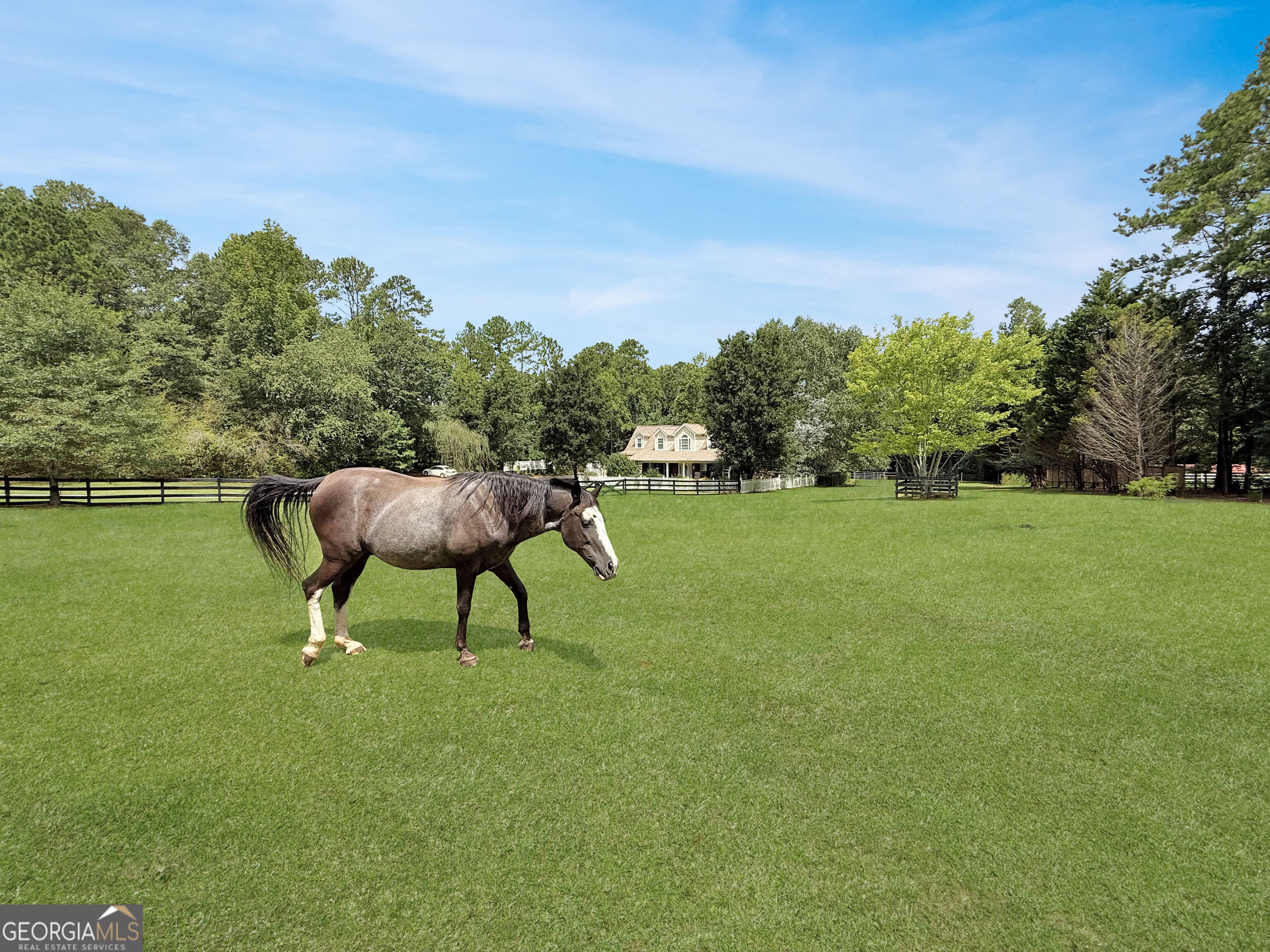 1040 Essex Road Watkinsville, GA 30677 - Photo 5 of 71