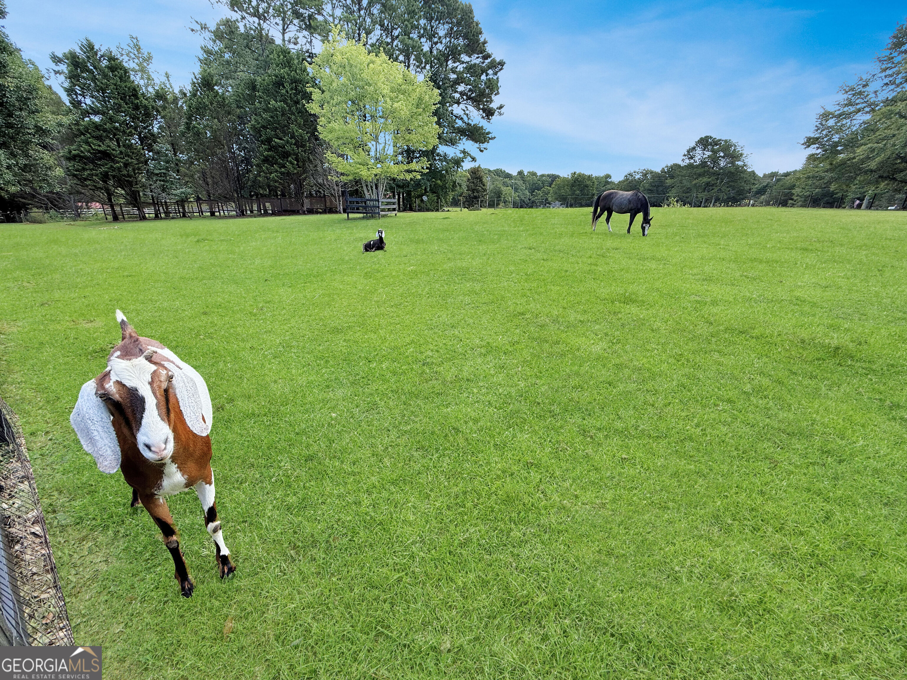 1040 Essex Road Watkinsville, GA 30677 - Photo 7 of 71