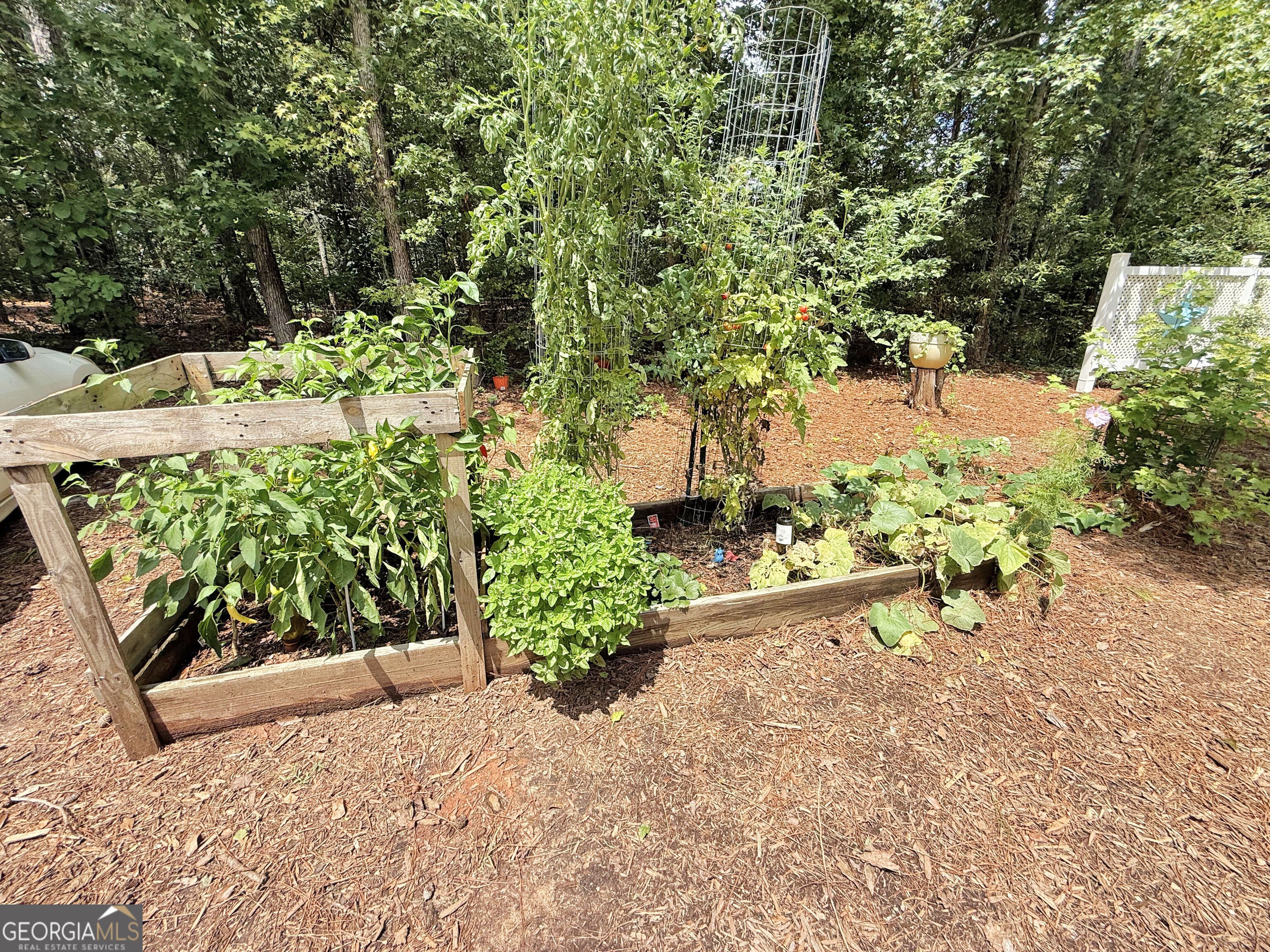 1040 Essex Road Watkinsville, GA 30677 - Photo 71 of 71