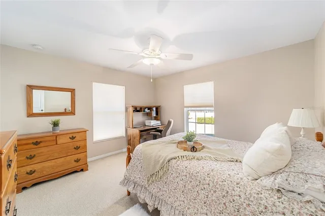 a bedroom with a bed plant and a window