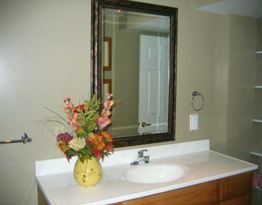 107 Midway Drive McKees Rocks, PA 15136 - Photo 7 of 8 Master Bath/Spa.