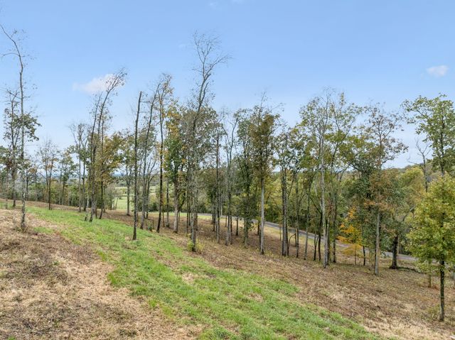 a view of a city with ocean view