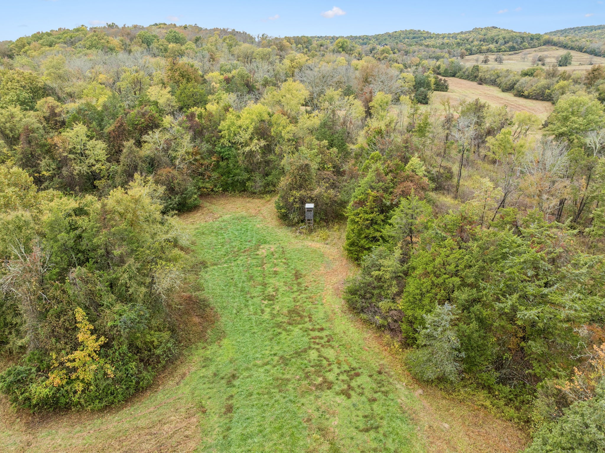 0 Coop Road Bell Buckle, TN 37020 - Photo 15 of 19 a view of a forest with an outdoor space