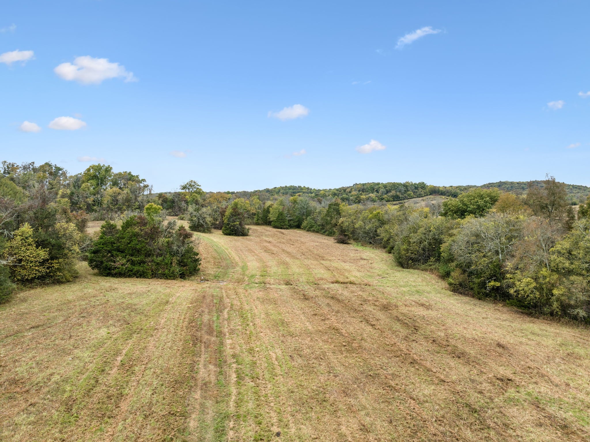 0 Coop Road Bell Buckle, TN 37020 - Photo 16 of 19 a view of an outdoor space and a yard