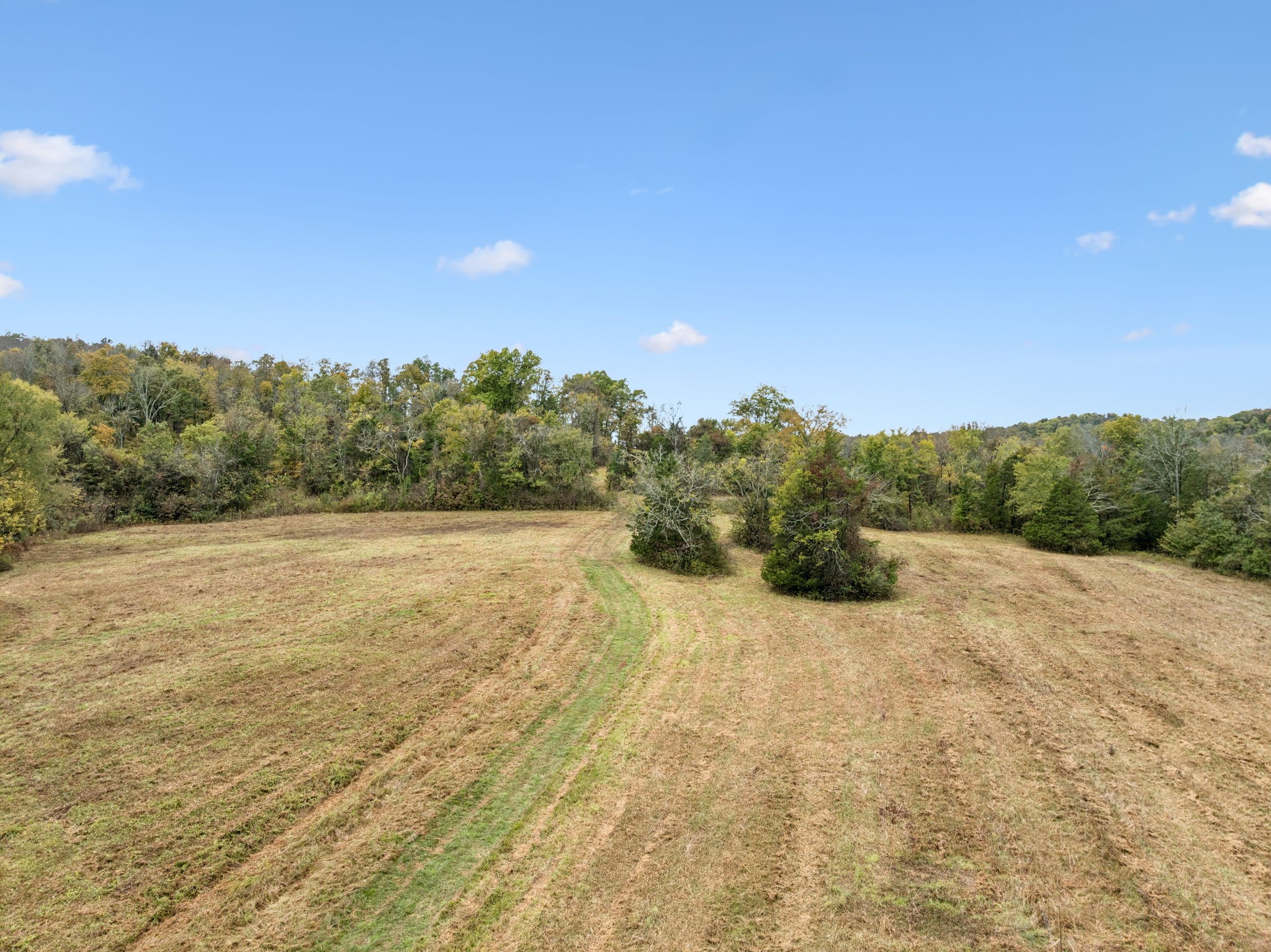 0 Coop Road Bell Buckle, TN 37020 - Photo 4 of 19 a view of an outdoor space and trees