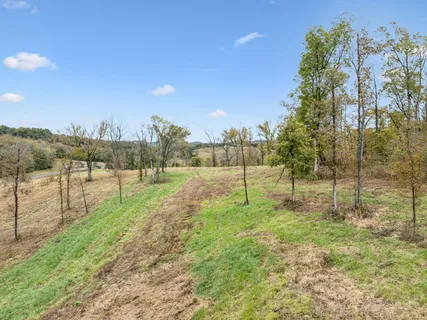 a view of a yard with a tree