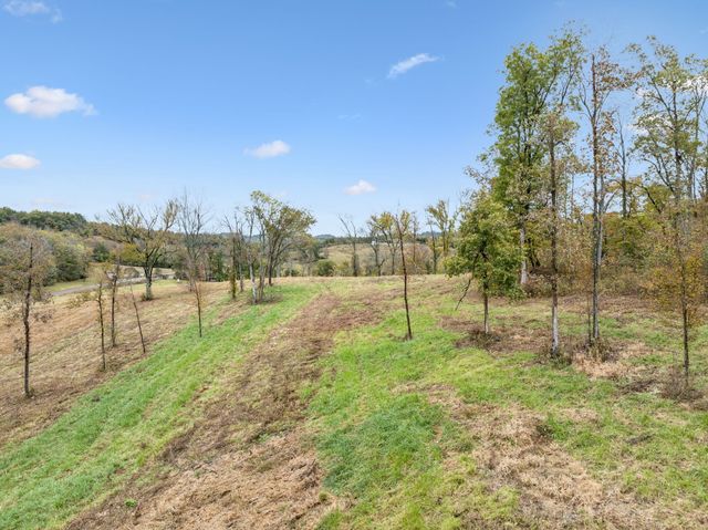 a view of a yard with a tree