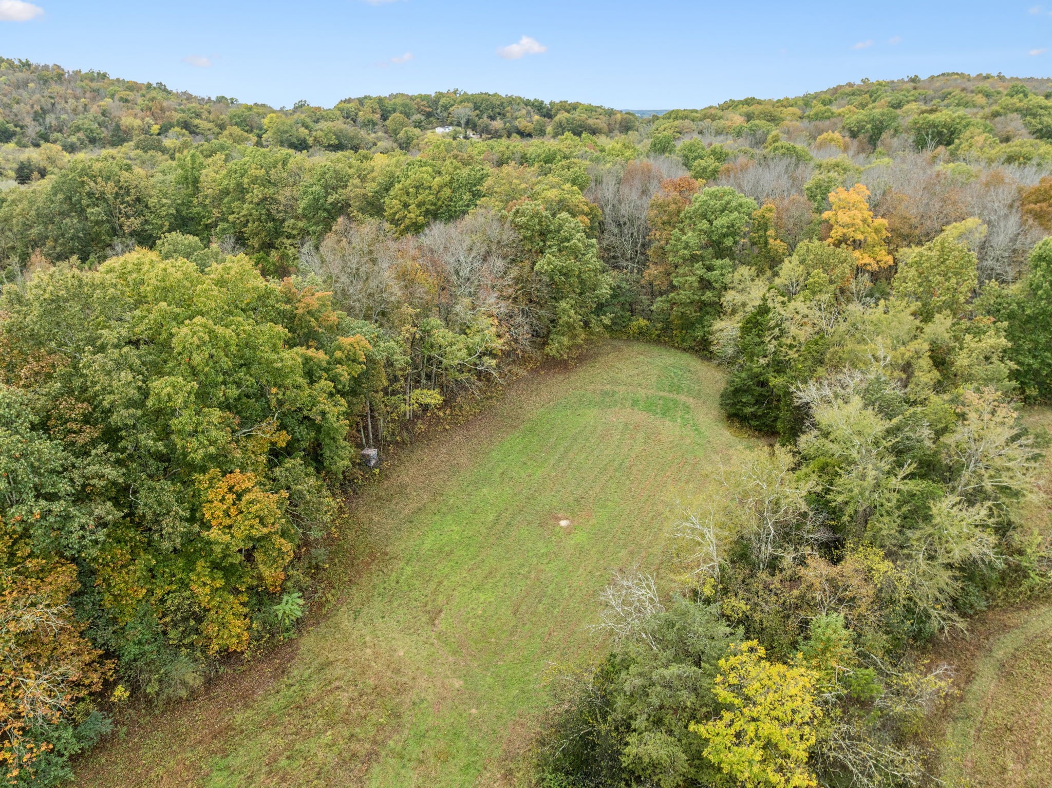 0 Coop Road Bell Buckle, TN 37020 - Photo 8 of 19 a view of a forest with a lake