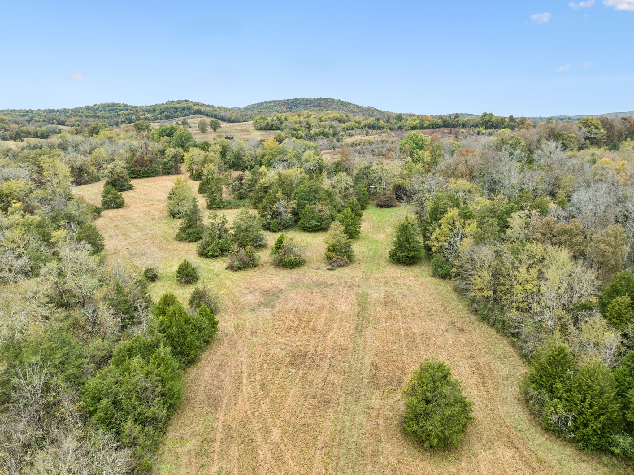 0 Coop Road Bell Buckle, TN 37020 - Photo 9 of 19 a view of a field with mountains in the background