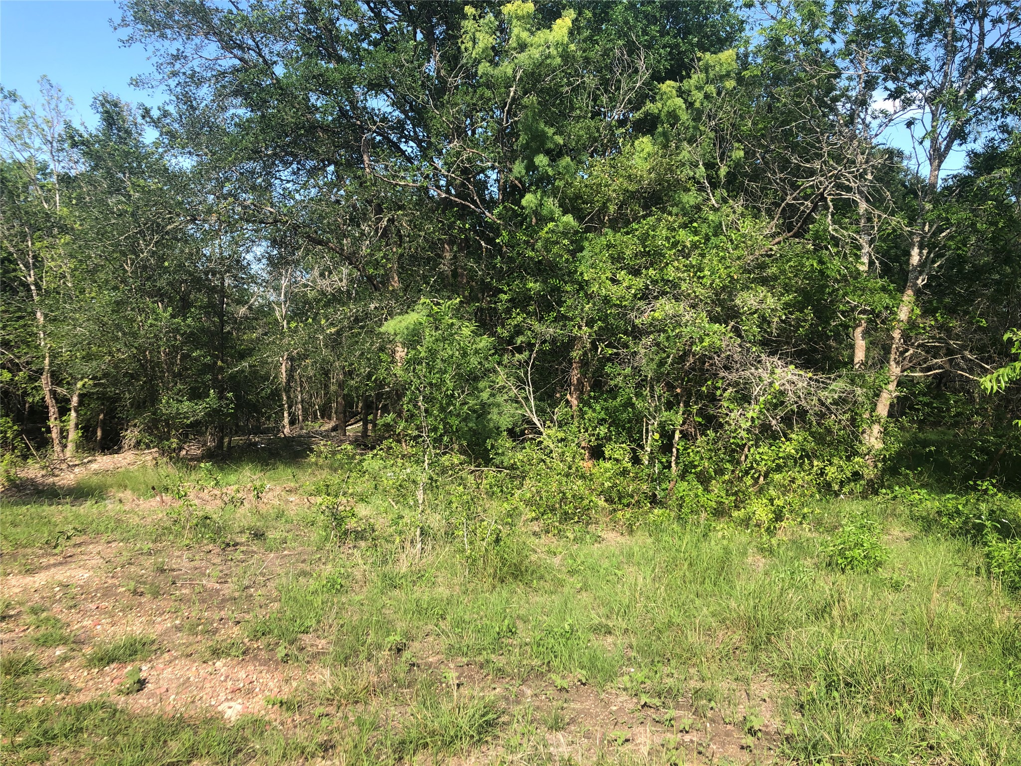 13414 Elm Grove Road Buda, TX 78610 - Photo 2 of 13 A spacious parcel offers a generous canvas for your envisioned home amidst natural surroundings.