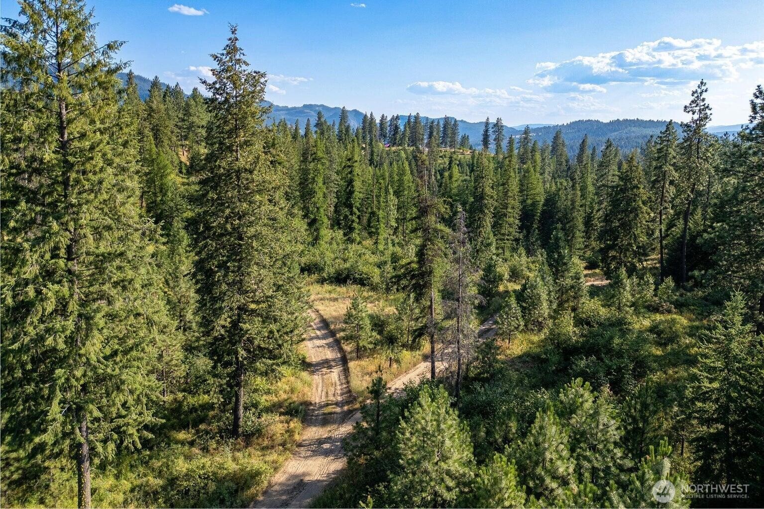 3705 Hope Way Kettle Falls, WA 99141 - Photo 34 of 37 a view of a city