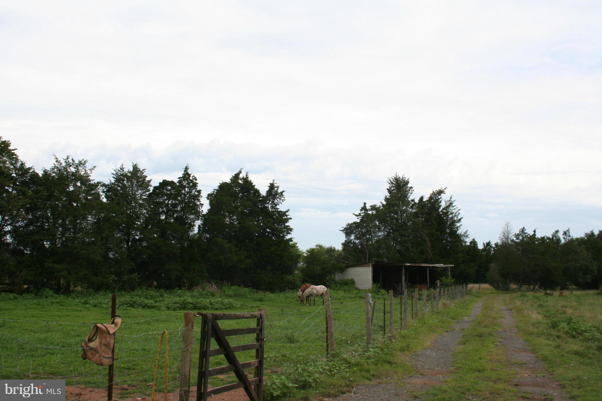 8841 Old Dumfries Road Catlett, VA 20119 - Photo 15 of 18 Exterior (General)