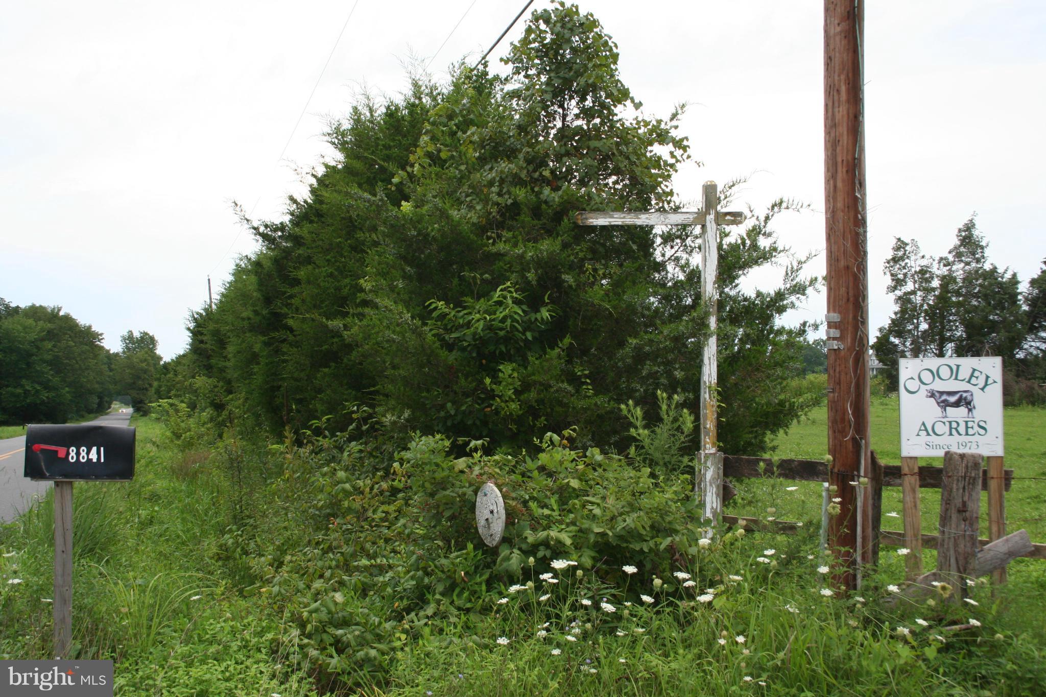 8841 Old Dumfries Road Catlett, VA 20119 - Photo 18 of 18 Exterior (General)