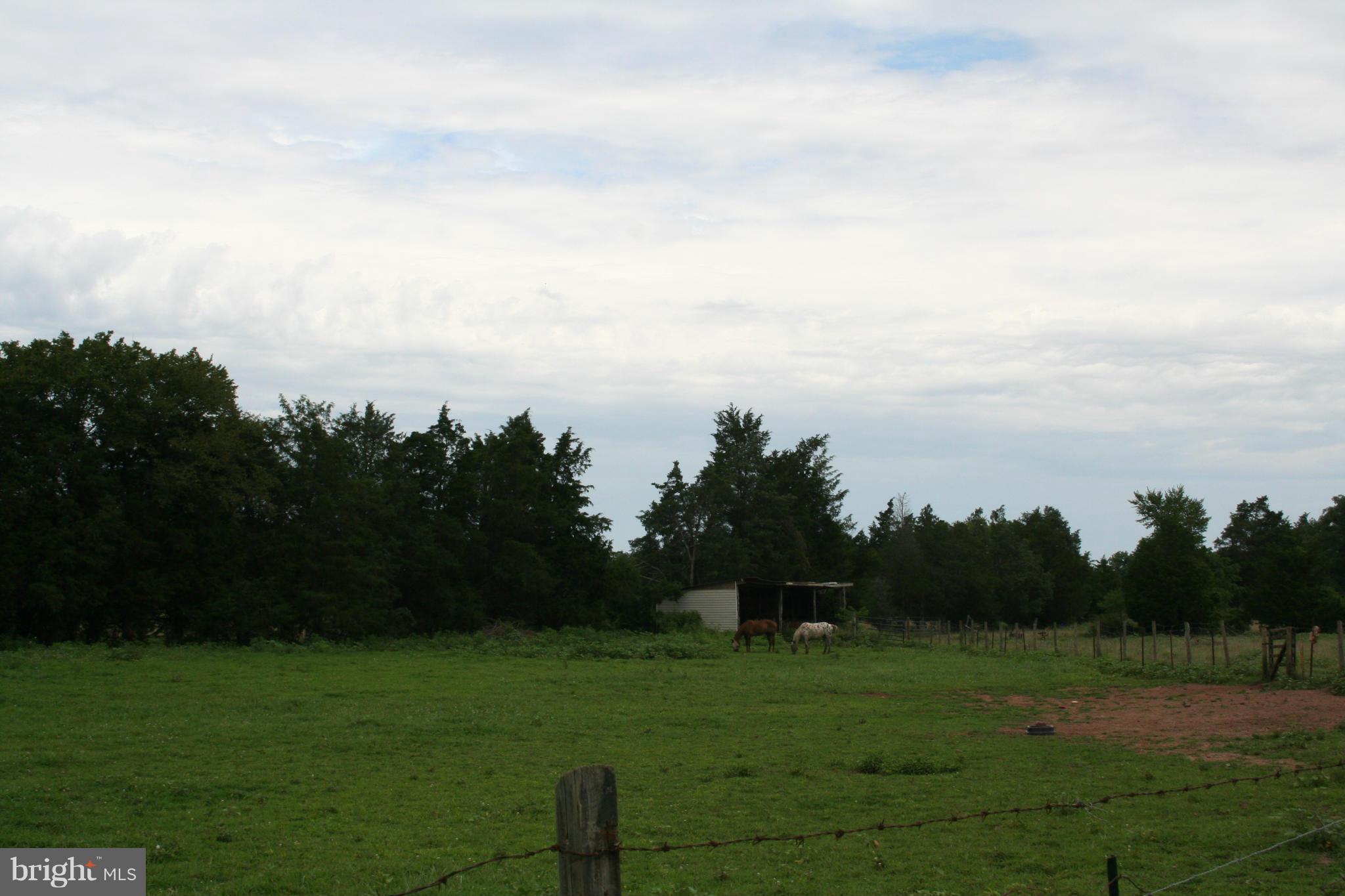 8841 Old Dumfries Road Catlett, VA 20119 - Photo 3 of 18 Exterior (General)