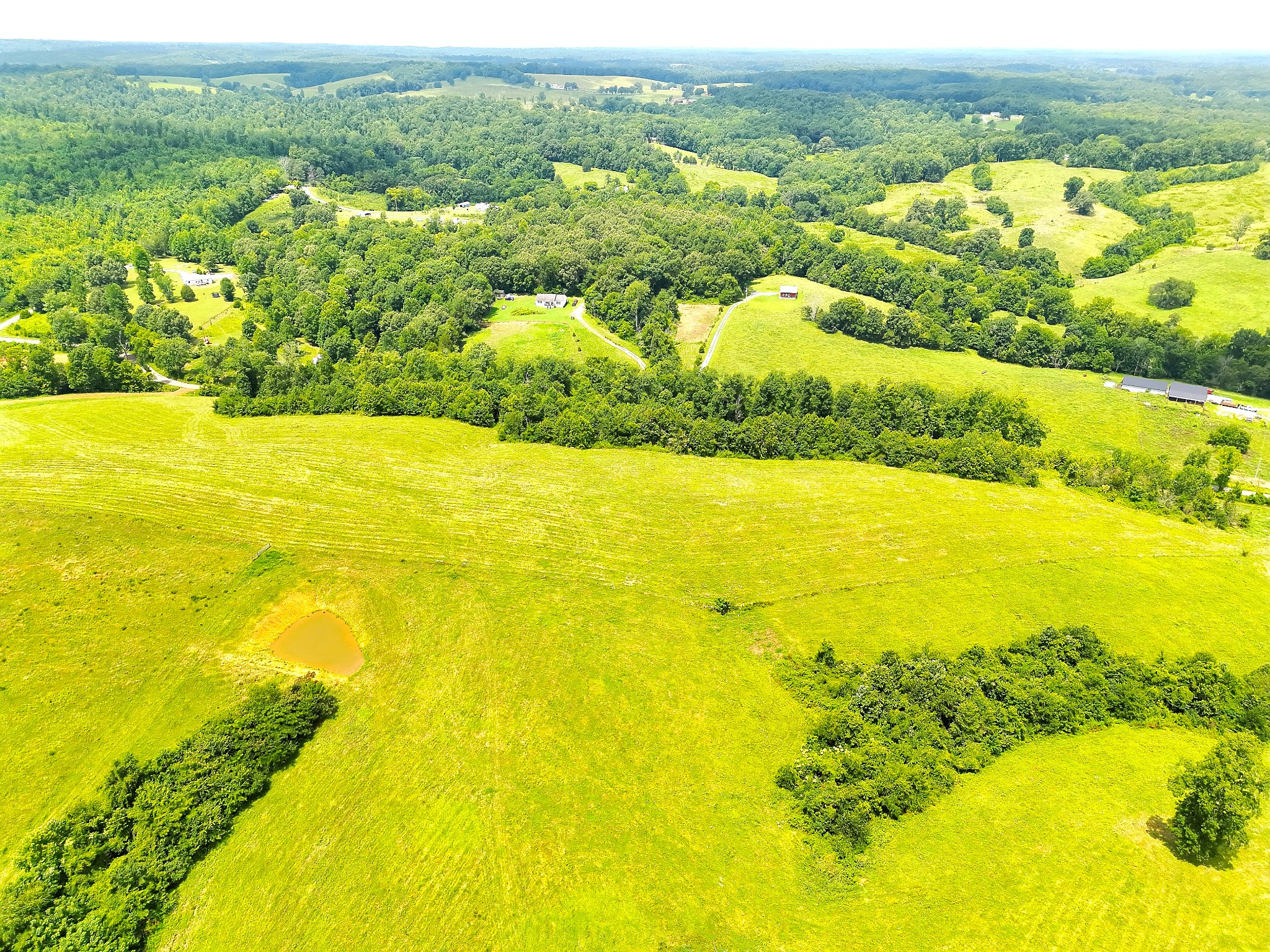 0 Brigham Branch Road Erin, TN 37061 - Photo 6 of 16 Gallery Image 6