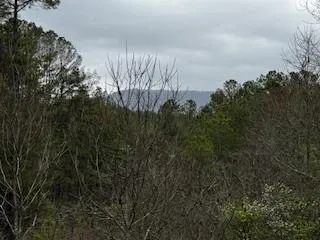 $225,000 | 851 Stansbury Mountain Road, Copperhill, TN 37317