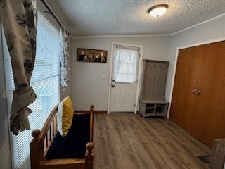 851 Stansbury Mountain Road Copperhill, TN 37317 - Photo 3 of 56