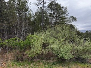 851 Stansbury Mountain Road Copperhill, TN 37317 - Photo 53 of 56