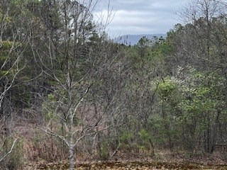 851 Stansbury Mountain Road Copperhill, TN 37317 - Photo 54 of 56