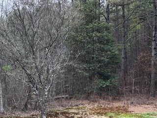 851 Stansbury Mountain Road Copperhill, TN 37317 - Photo 55 of 56