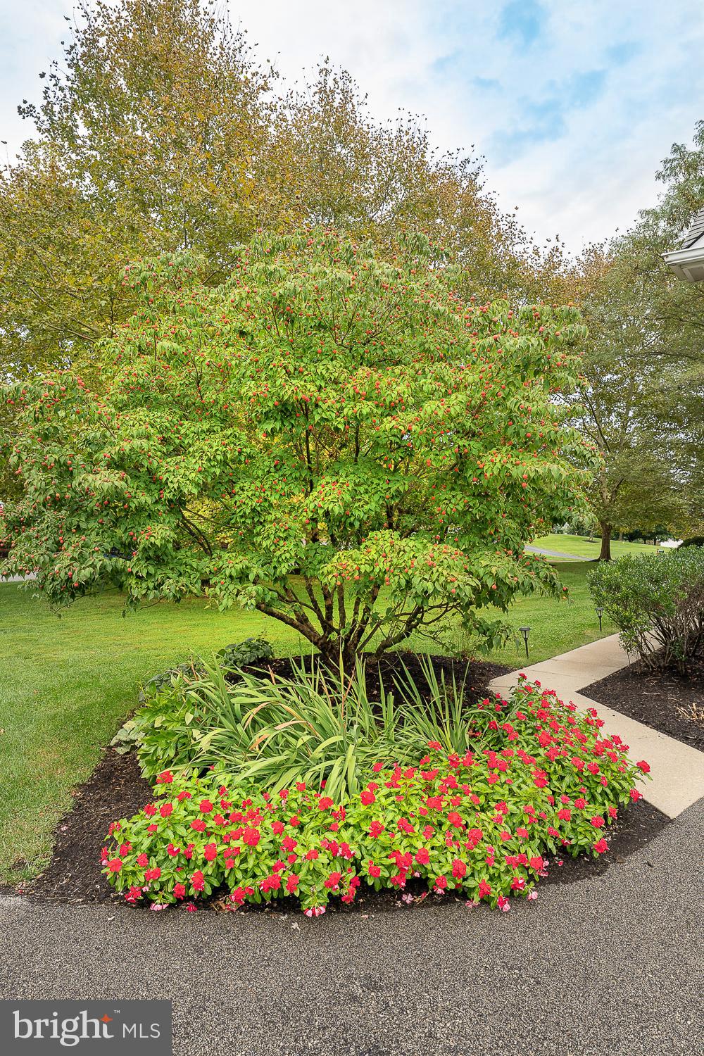 3 Old Forest Road Newtown Square, PA 19073 - Photo 31 of 37 Beautifully manicured flora