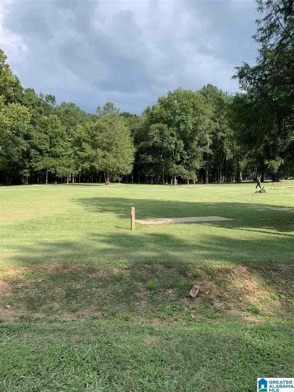 6240 Lane Street Pinson, AL 35126 - Photo 18 of 19