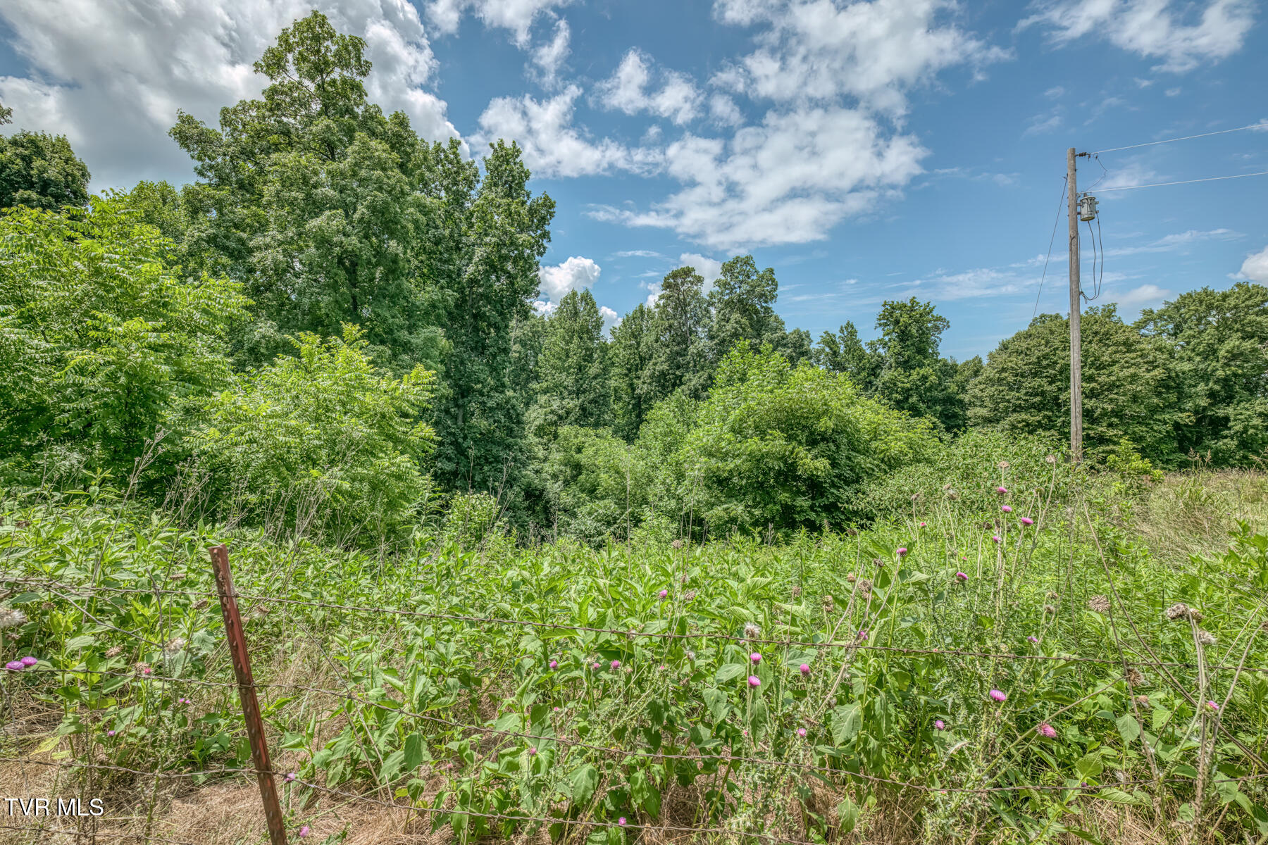 2083 Bundren Mountain Road Tazewell, TN 37879 - Photo 31 of 42 2083 Bundren Mountain Rd-20