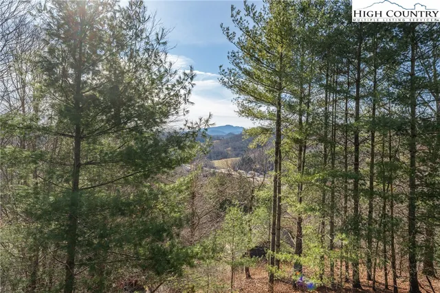 $424,900 | 419 Billy Billings Road, Vilas, NC 28692