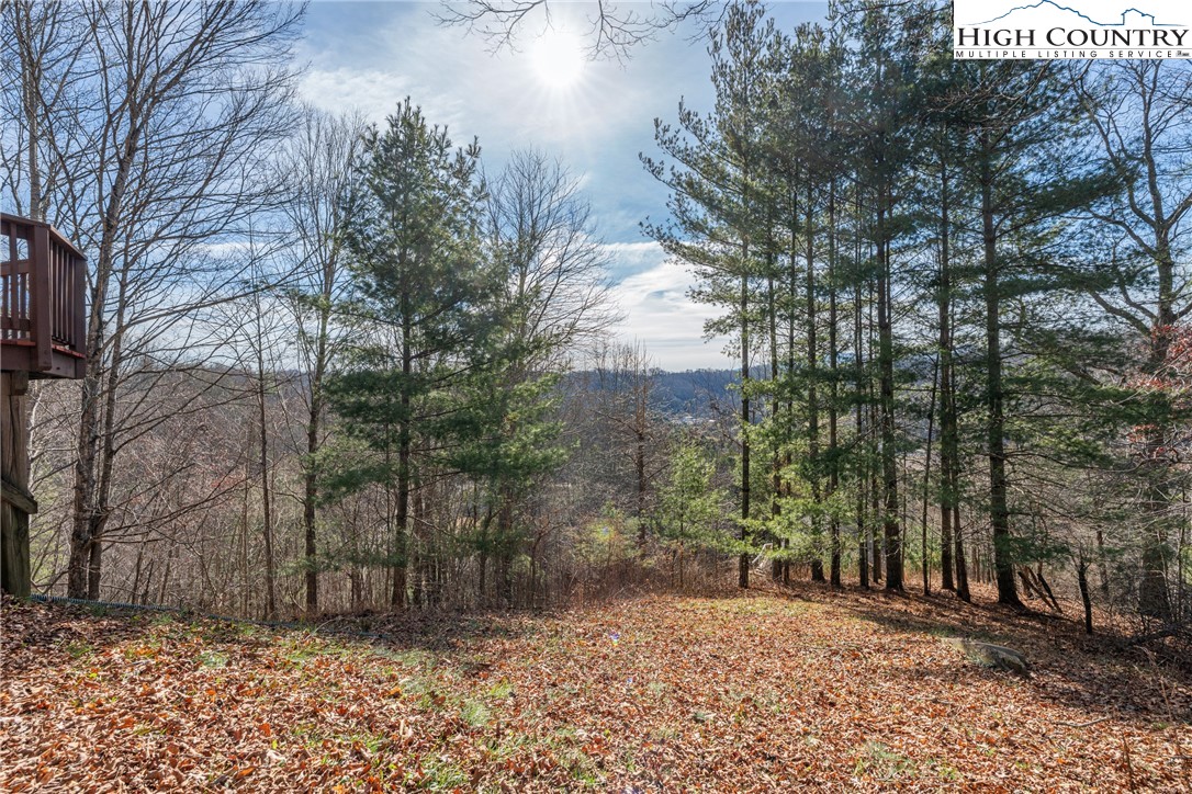 419 Billy Billings Road Vilas, NC 28692 - Photo 44 of 50 a view of a yard with trees