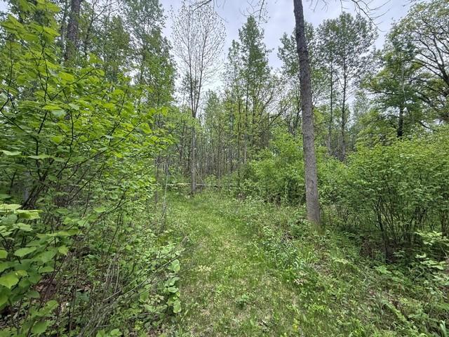 40781 County 2 Bagley, MN 56621 - Photo 10 of 15