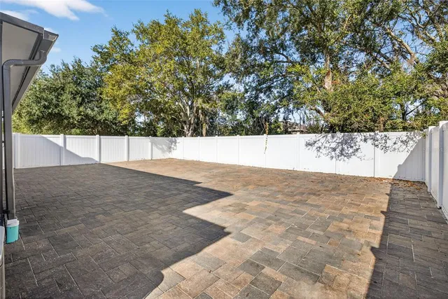 a view of a dry yard