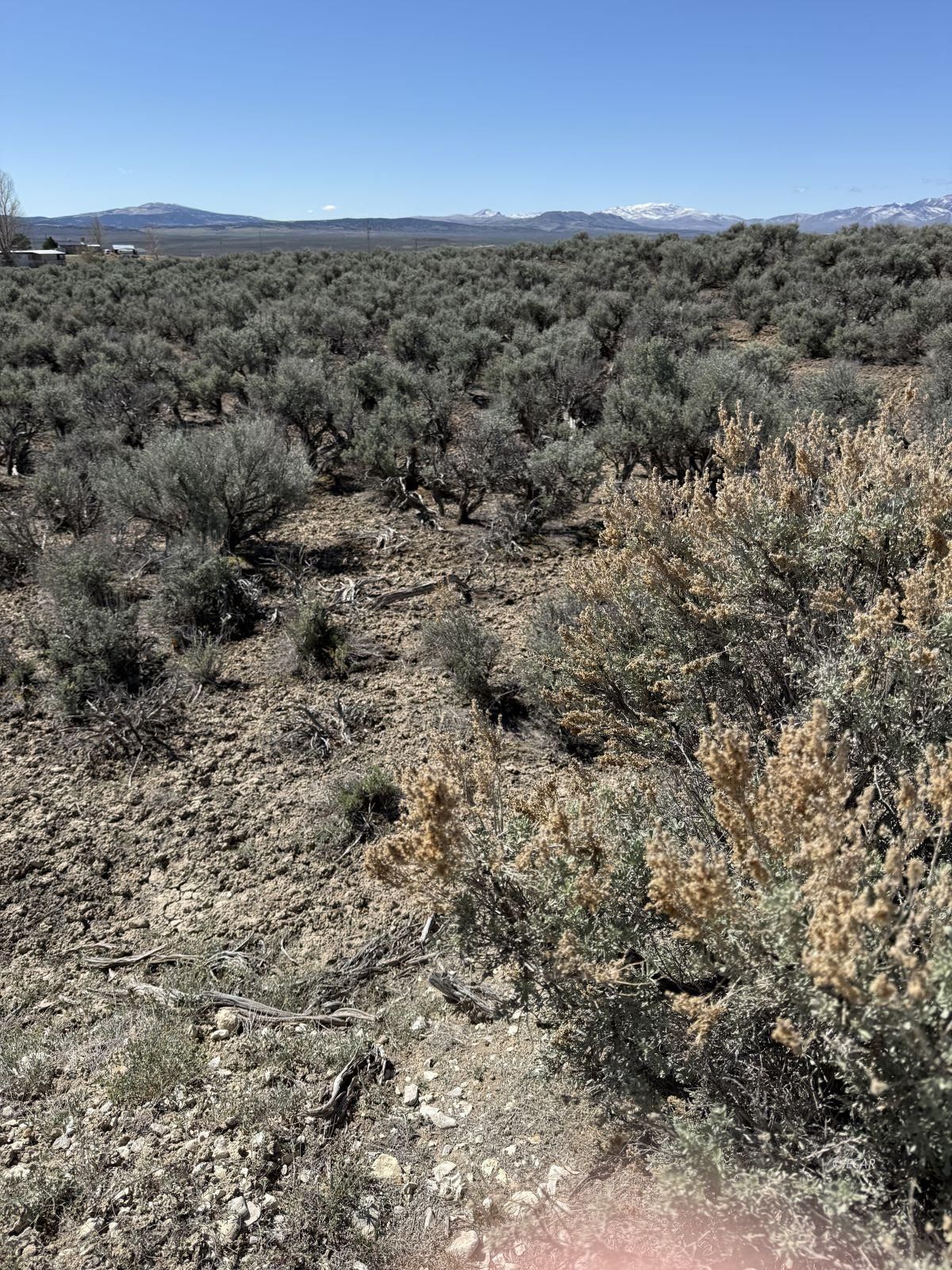 Beauregard Ave Spring Creek Spring Creek, NV 89815 - Photo 2 of 8