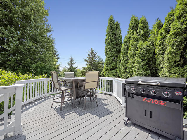 3408 Wild Prairie Lane Geneva, IL 60134 - Photo 16 of 53