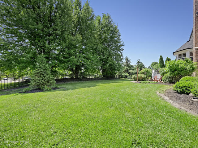 3408 Wild Prairie Lane Geneva, IL 60134 - Photo 18 of 53