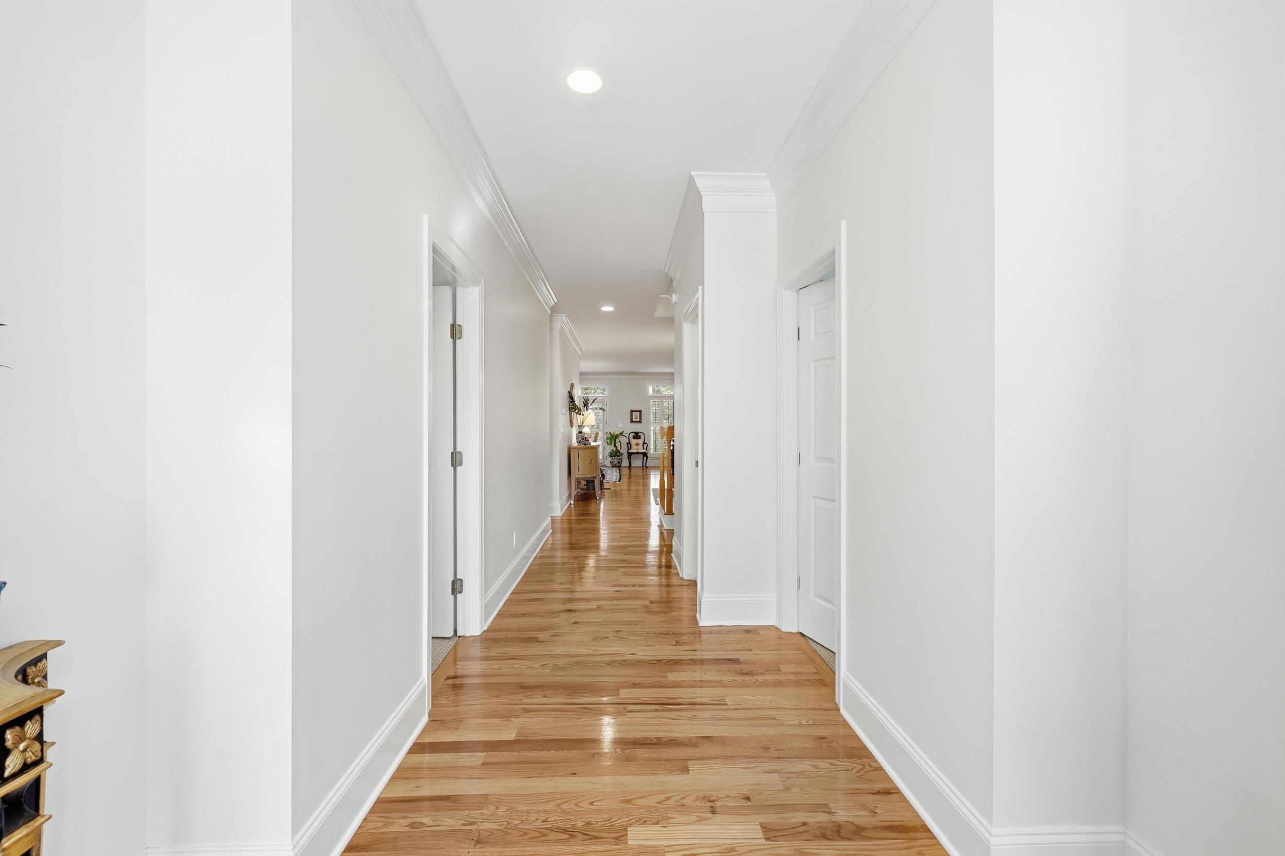 213 Old Carriage Loop Georgetown, SC 29440 - Photo 6 of 40 Hall featuring light wood-style flooring, ornamental molding, and recessed lighting