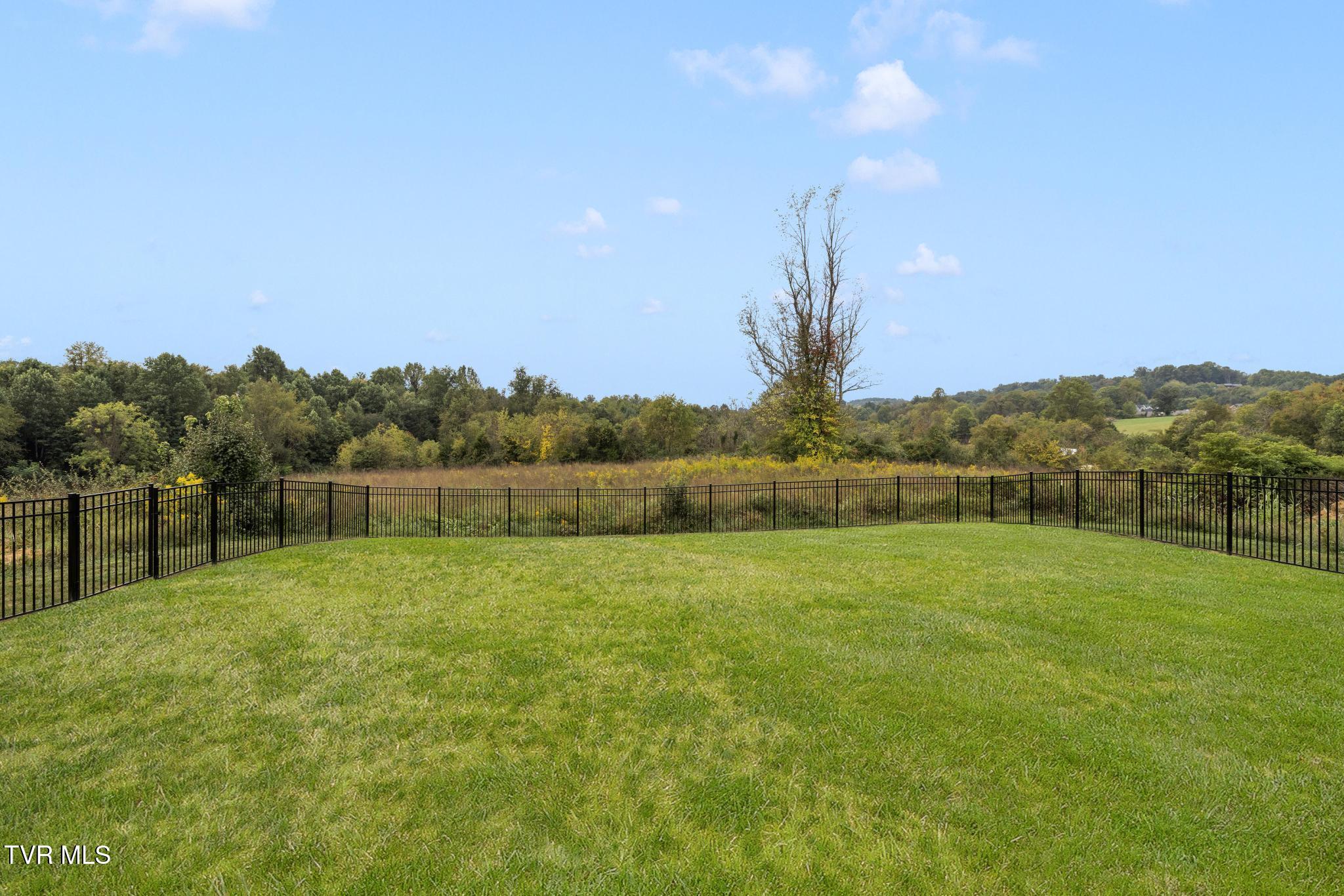 246 Ruby Rose Ridge Jonesborough, TN 37659 - Photo 32 of 41 Fenced backyard
