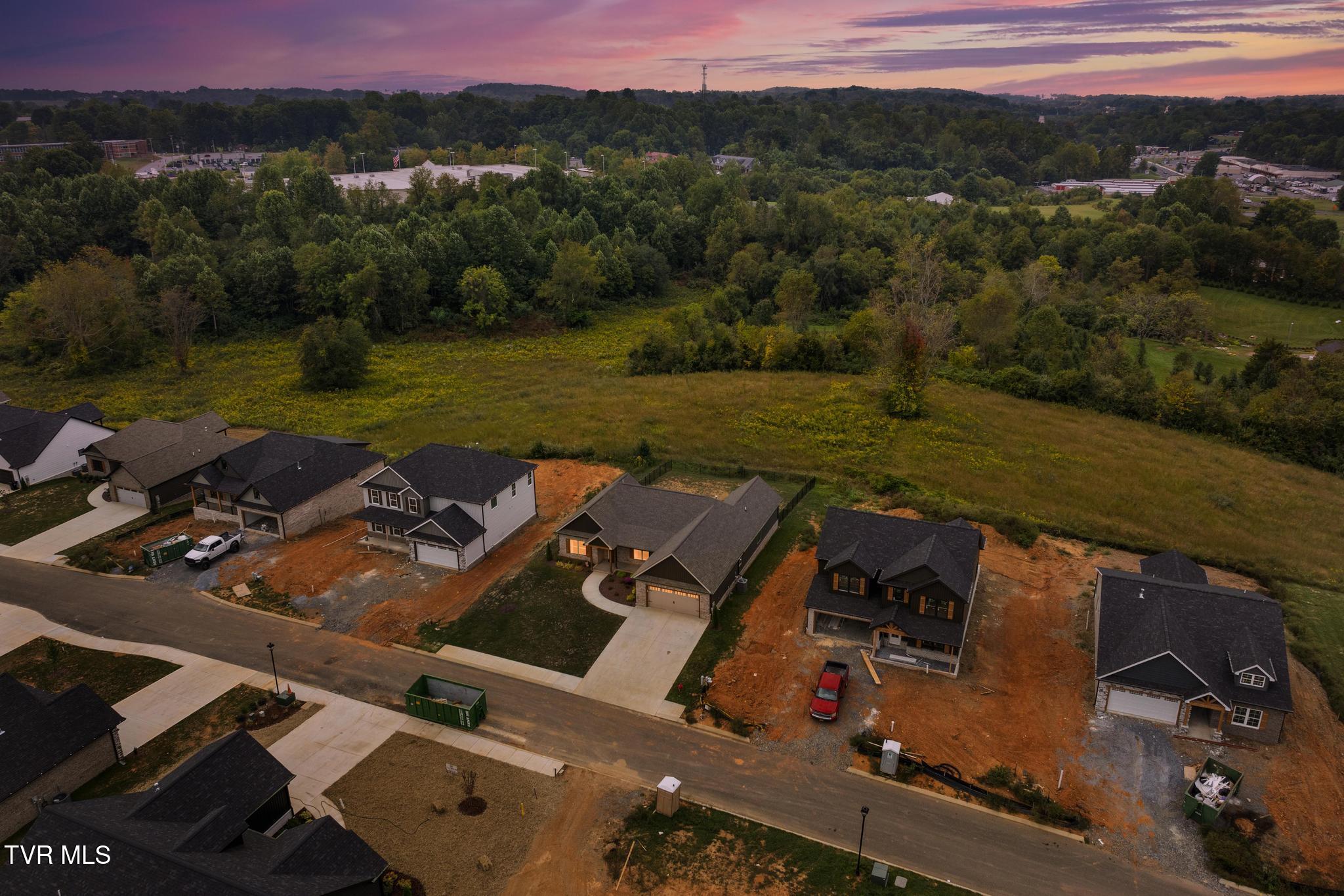 246 Ruby Rose Ridge Jonesborough, TN 37659 - Photo 37 of 41 Aerial view