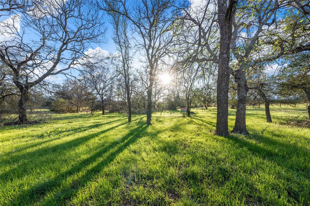 20131 China Spring Road Valley Mills, TX 76689 - Photo 40 of 40 Land