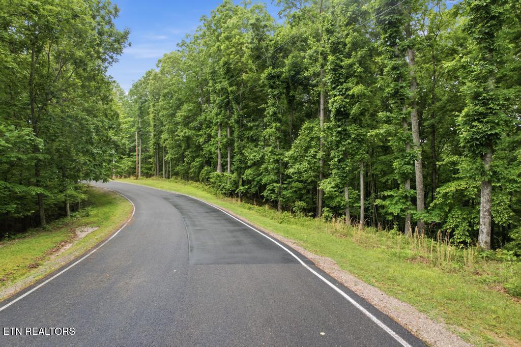 0 Serenity Ridge Road Sparta, TN 38583 - Photo 6 of 8 Serenity_Ridge_Rd_006