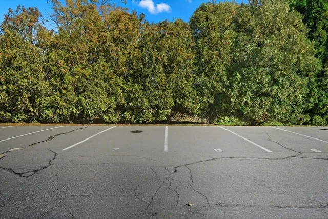 a view of a field with plants and trees