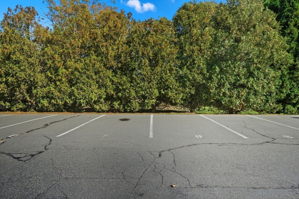 30 Conant Street, Unit 3B Beverly, MA 01915 - Photo 21 of 30 a view of a field with plants and trees