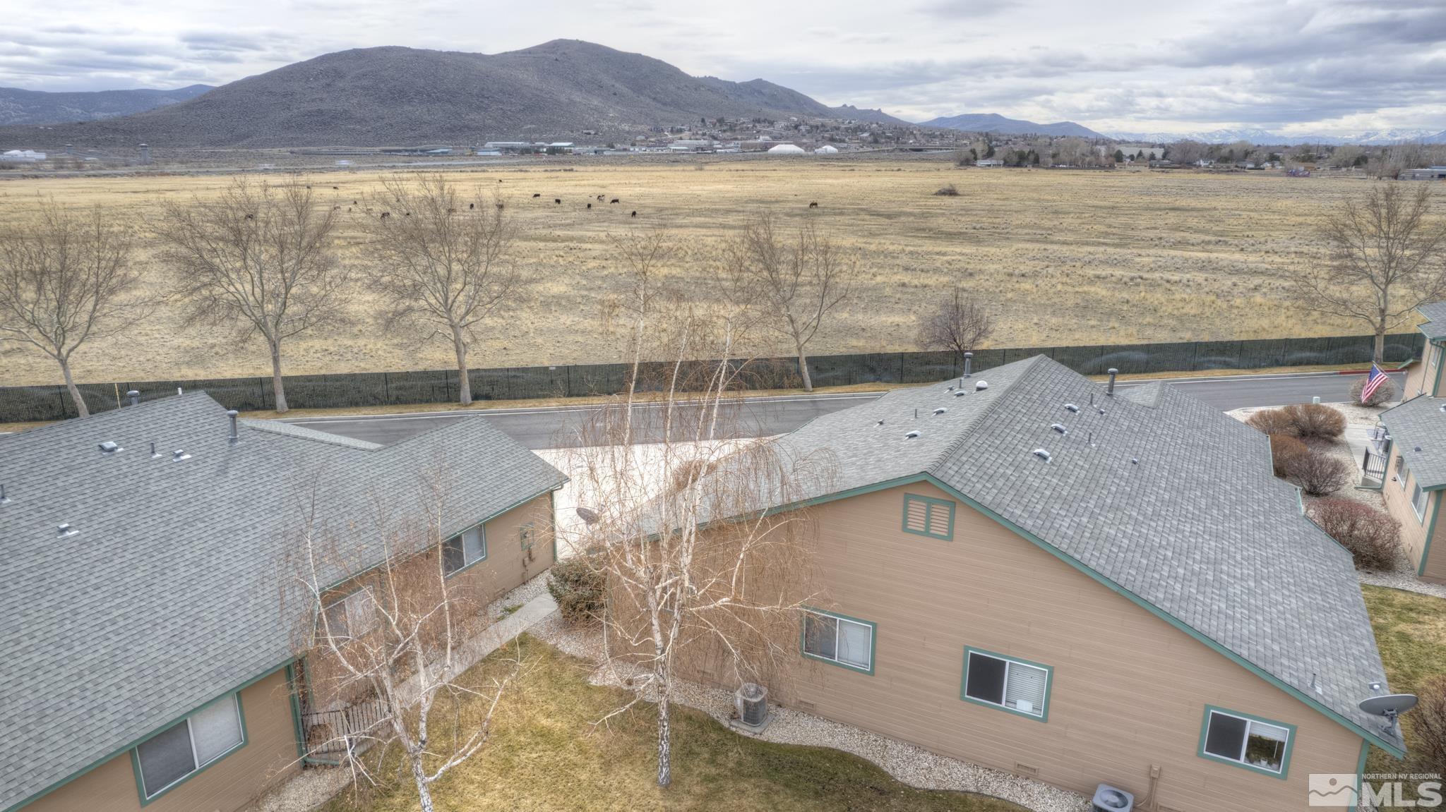 1746 Duke Road Carson City, NV 89701 - Photo 29 of 31 Photo 29